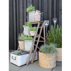 Plantestige/hndkldestige