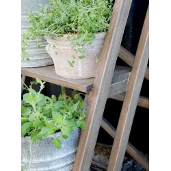 Plantestige/hndkldestige