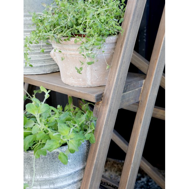 Plantestige/hndkldestige