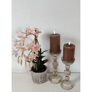 Lysestager champagne farvet glas i 2 strrelser