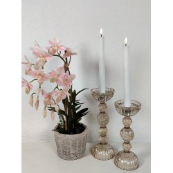 Lysestager champagne farvet glas i 2 strrelser