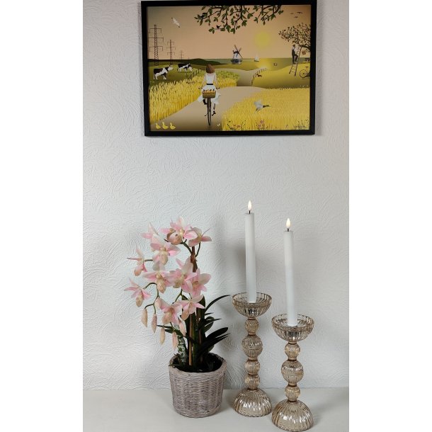 Lysestager champagne farvet glas i 2 strrelser