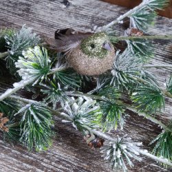 Dekorationsfugl, L14 cm, guld/grn