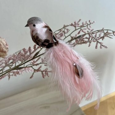 Dekorationsfugle og Sommerfugle