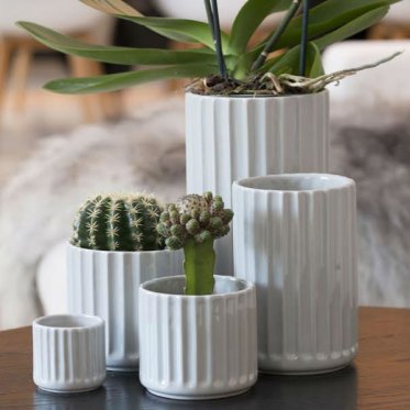 Urtepotter og planteopsatser