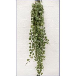 Dekorations bladranke med 8 grene