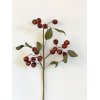 Dekorations blomst med r�de b�r