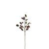 Dekorations blomst med r�de b�r