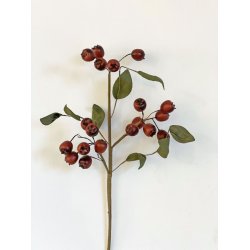 Dekorations blomst med rde br