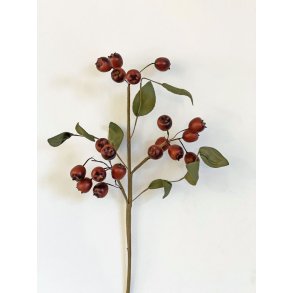 Dekorations blomst med r�de b�r