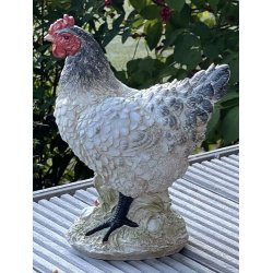 Hns - hane og hne figur