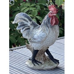 Hns - hane og hne figur