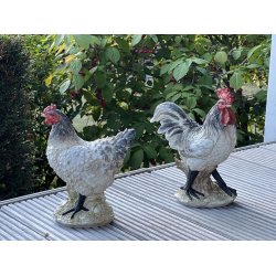 Hns - hane og hne figur