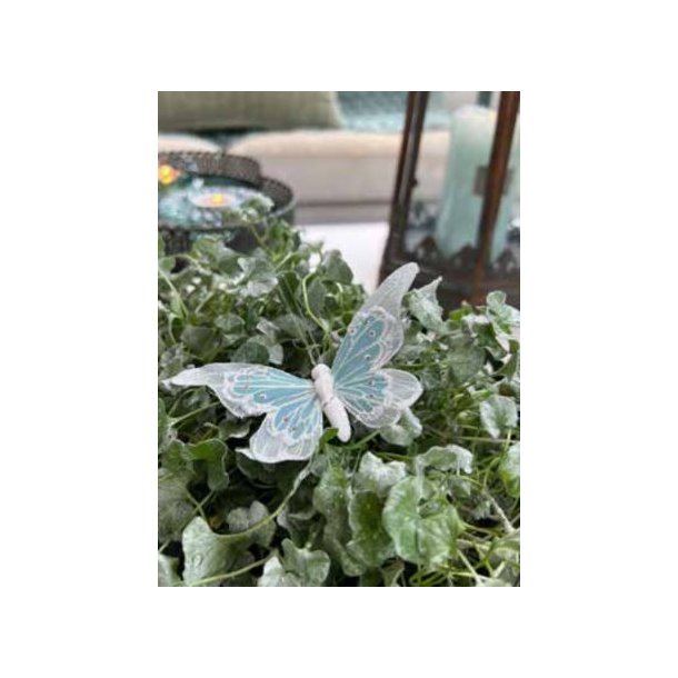 Dekorations sommerfugle