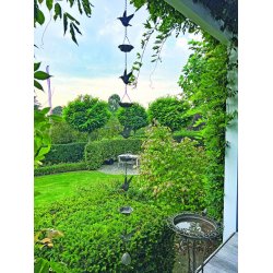 Vindspil med 5 fugle