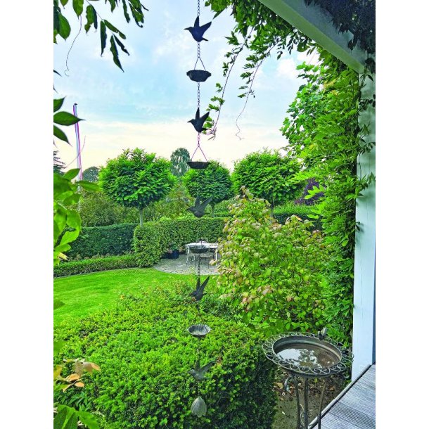 Vindspil med 5 fugle