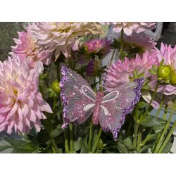 Sommerfugle i 3 farver og hvid aftegning str. L12 cm