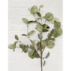 Gr�nne blade 1 gren 