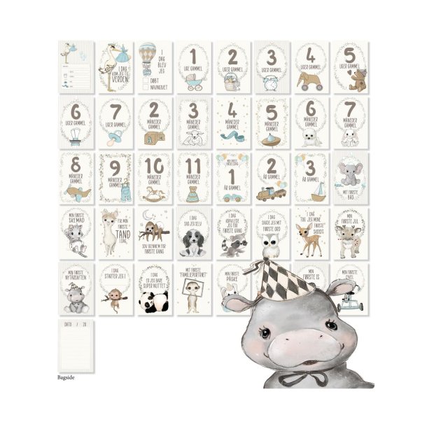 Mileplskort Babyshower/Barsels-gave - dreng - (barnets frste bog i kort)