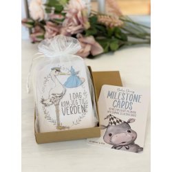 Mileplskort Babyshower/Barsels-gave - dreng - (barnets frste bog i kort)