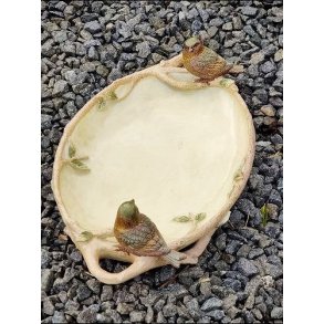 Fuglebad med to fugle