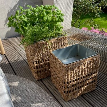 blomsterskjulere-flet-soegraes-zink-krydderurter-terrasse-haveinterioer.jpg: To kvadratiske blomsterskjulere i flettet s�gr�s med zinkindsats placeret p� en tr�terrasse; den ene er tilplantet med frodig gr�n basilikum.