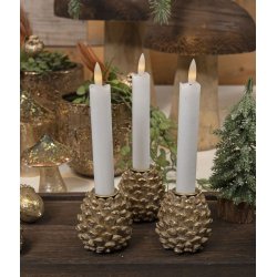 Lysestage, kogle-La Vida