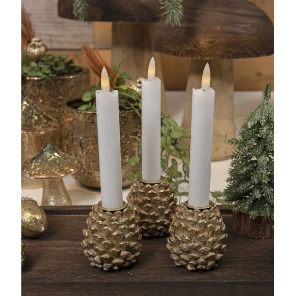 Lysestage, kogle-La Vida