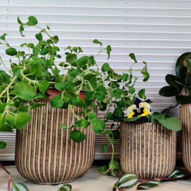 Urtepotte og skjulere