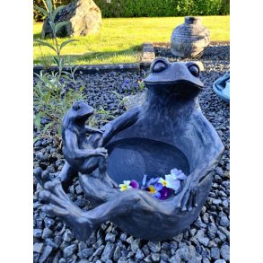 Fuglebad som en fr�