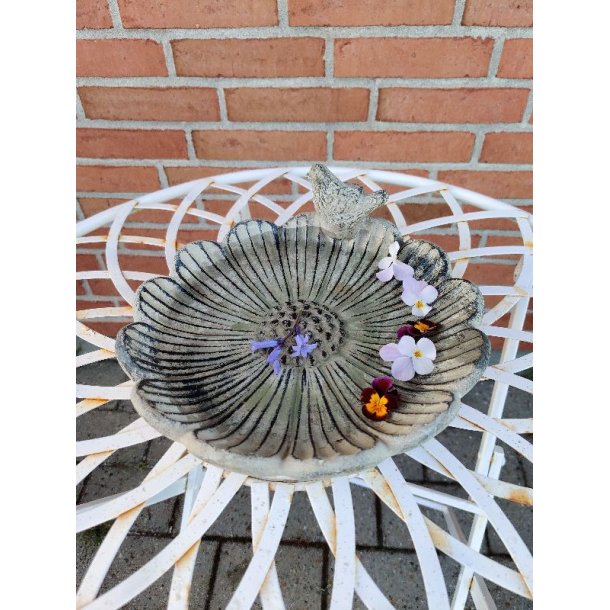 Fuglebad blomst m. fugl