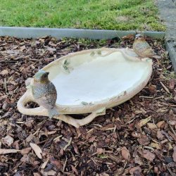 Fuglebadet i polyresin placeret i et havebed med barkflis, der fremh�ver de naturlige farver.