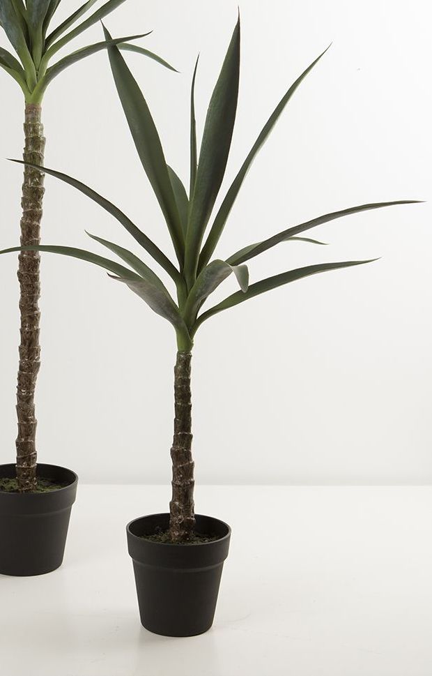 Yucca palmer Kunstige blomster - Nørgaard Bolignyt & Vintage