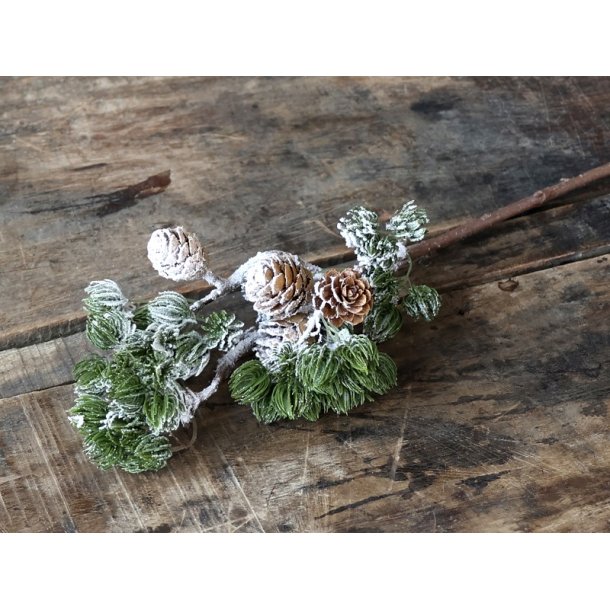 Kunstig cedertrsgren med kogler