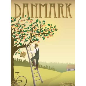 Plakat-Danmark-Aebletraeet-Front-Vissevasse Vissevasse plakat med titlen Danmark �bletr�et, der viser en mand p� en stige i gang med at plukke modne �bler fra et stort tr�.