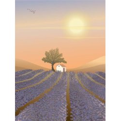 Plakat-Lavender-Field-Front-Vissevasse Plakat med motiv af en lavendelmark ved solnedgang med et lille hus og et tr� i afd�mpede pastelfarver.