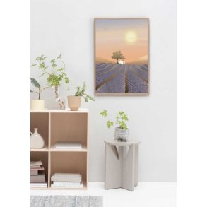 Plakat-Lavender-Field-Interioer-Vissevasse Vissevasse plakat vist i en lys og moderne boligindretning placeret p� en hvid v�g.