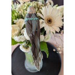 Smuk turkis pyntefugl set oppefra, hvor den lange, m�rke fjerhale hviler elegant p� hvide blomster i en vase.
