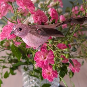Glitrende rosabrun pyntefugl med naturlige fjer siddende smukt i en buket af friske lyser�de roser.