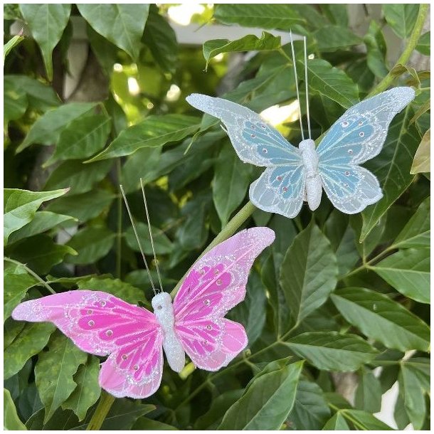 To delikate dekorationssommerfugle, en let gr�n med guld og en rosa/pink med guld, lavet af fjer og glimmer, klipset fast p� en gr�n