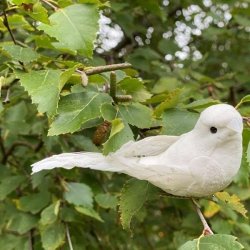 Hvid dekorativ fugl med naturlige fjer og diskret glimmer siddende p� en gren med gr�nne blade udend�rs