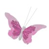 Lyser�d dekorativ sommerfugl med vinger af fjer, fine detaljer i s�lvglimmer og hvid glimmerkrop, fritlagt p� hvid baggrund.