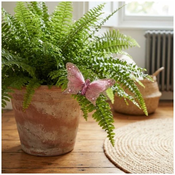 Rosa dekorativ sommerfugl med glimmer fastgjort med clips p� en gr�n bregne i en lerkrukke.