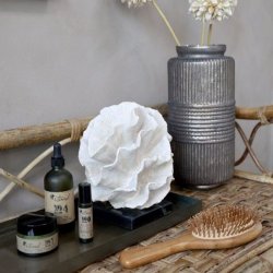 Eternel h�rb�rste opstillet i et dekorativt badev�relsesmilj� sammen med plejeprodukter, der viser b�rstens st�rrelse og naturlige design.
