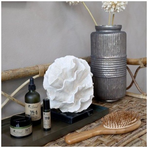 Eternel h�rb�rste opstillet i et dekorativt badev�relsesmilj� sammen med plejeprodukter, der viser b�rstens st�rrelse og naturlige design.