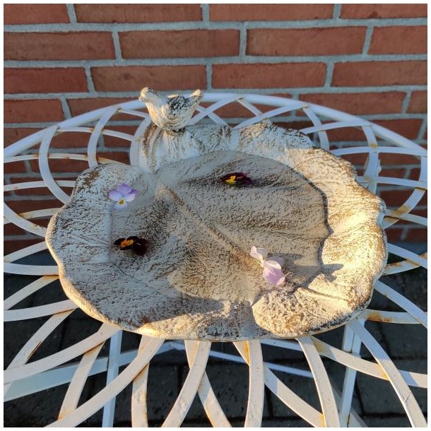 Bladformet fuglebad med vand og blomster p� et hvidt havebord med en murstensv�g i baggrunden.