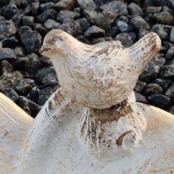 N�rbillede af den lille fugl, der sidder p� kanten af det bladformede fuglebad.