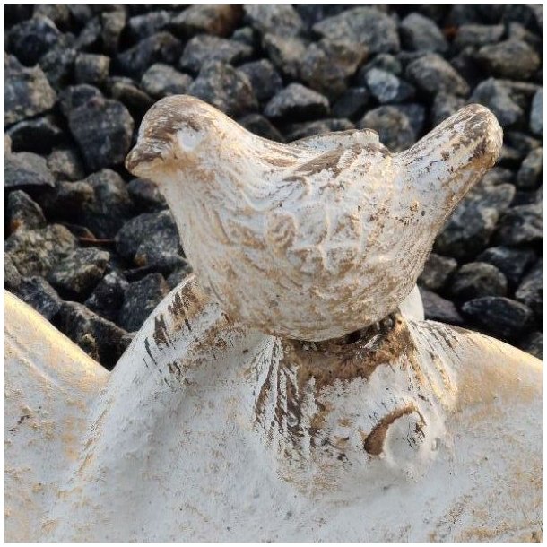 N�rbillede af den lille fugl, der sidder p� kanten af det bladformede fuglebad.