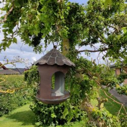 Dekorativt fuglehus brugt som fuglebr�t i antik brun jern fra La Vida oph�ngt i et flot gammelt tr� i en gr�n have.