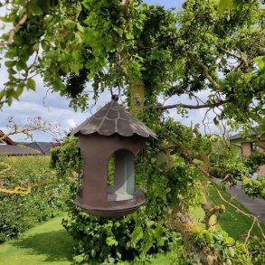 Dekorativt fuglehus brugt som fuglebr�t i antik brun jern fra La Vida oph�ngt i et flot gammelt tr� i en gr�n have.